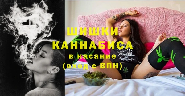 ешки Алзамай